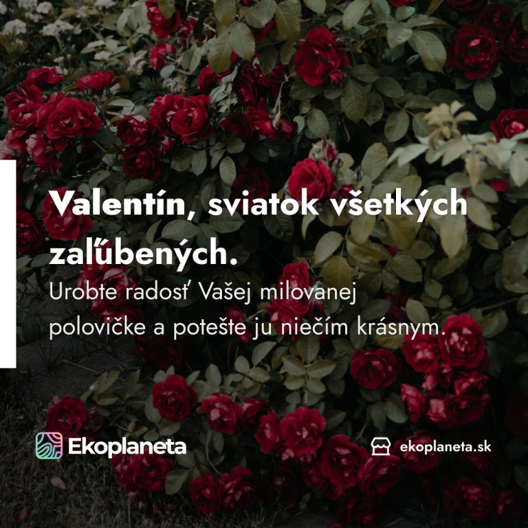 insta_231